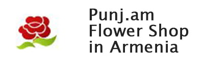 punj.am