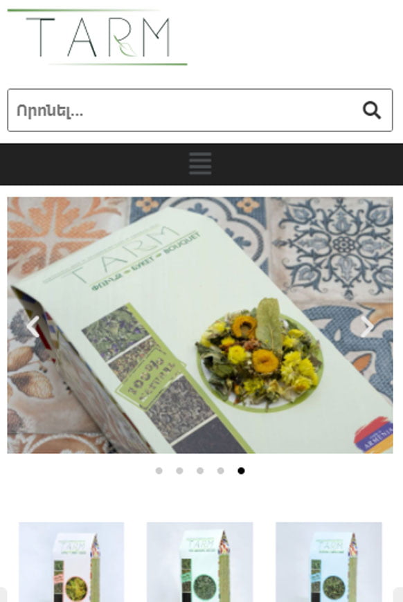 web development websites blogs social media content seo branding