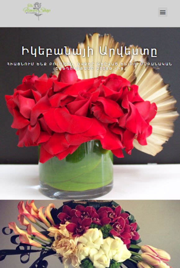 web development websites blogs social media content seo branding